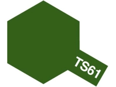 TS-61- vert otan mat